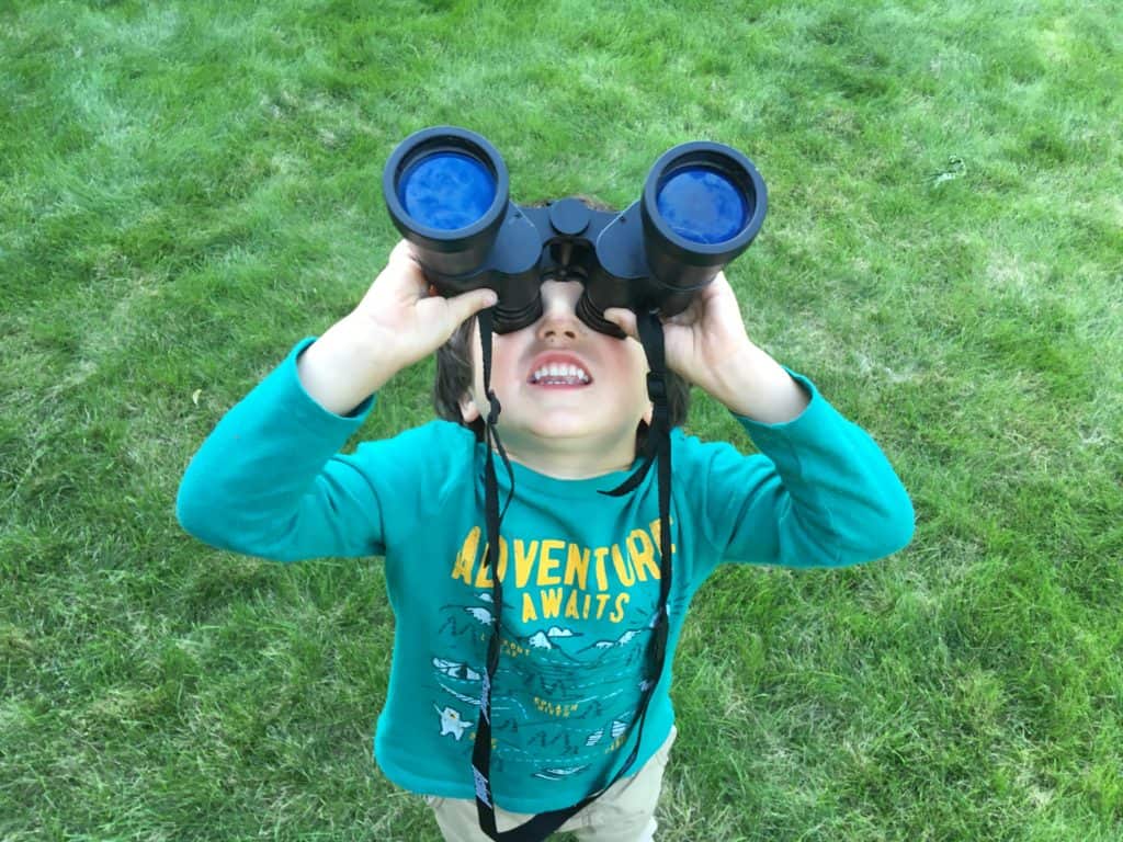 A kid investigating nature in a field